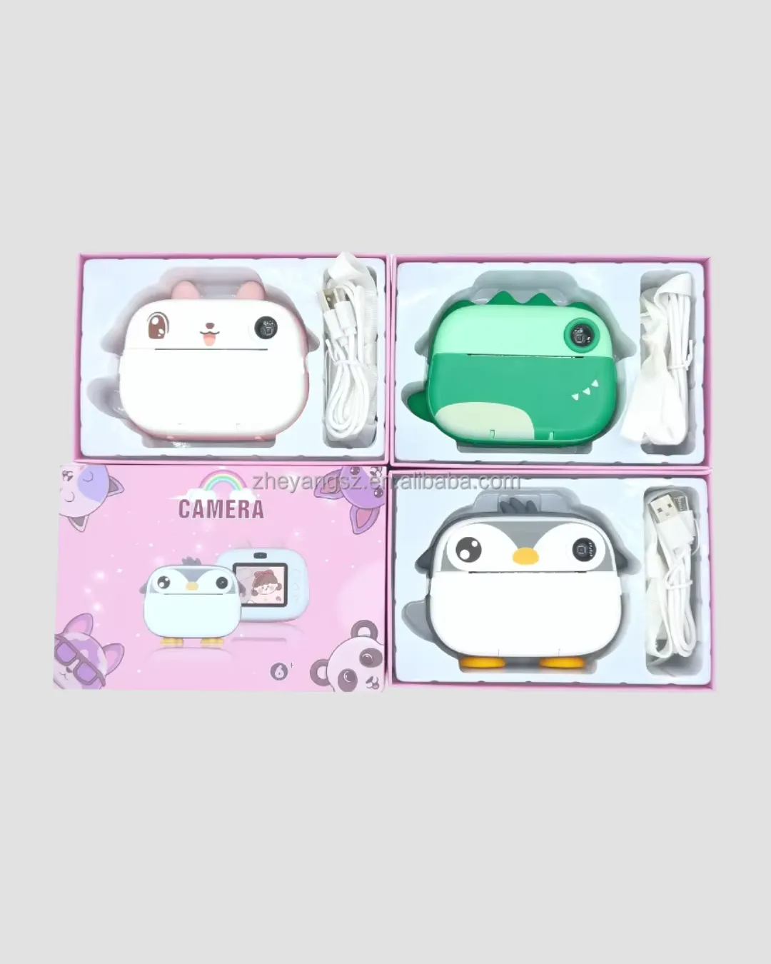 Anında Baskı ve Yüksek Çözünürlüklü Çift Lensli Fotoğraf Makinesi