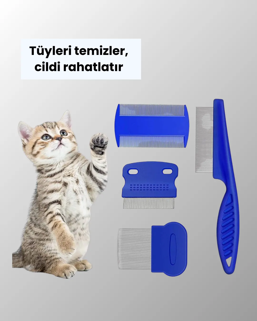 Kedi, Köpek ve Küçük Hayvanlar İçin 4 Parça Ergonomik Tarak Takımı