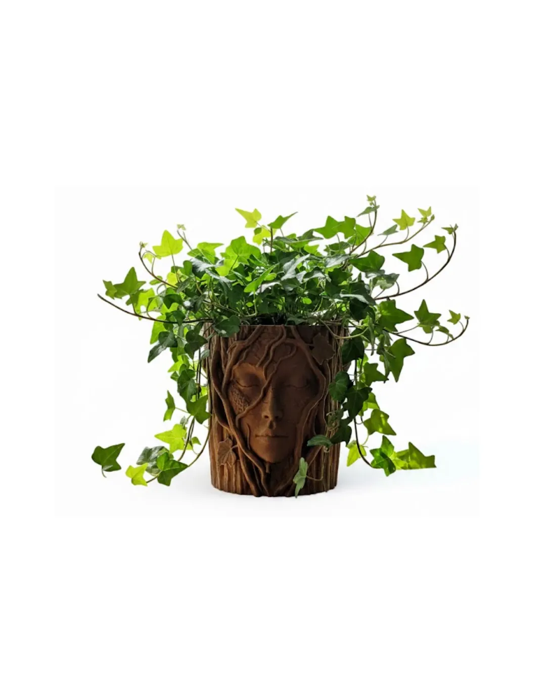 Doğa Temalı Yüz Detaylı Dekoratif Vazo 3D Ağaç Desenli Şık Saksı