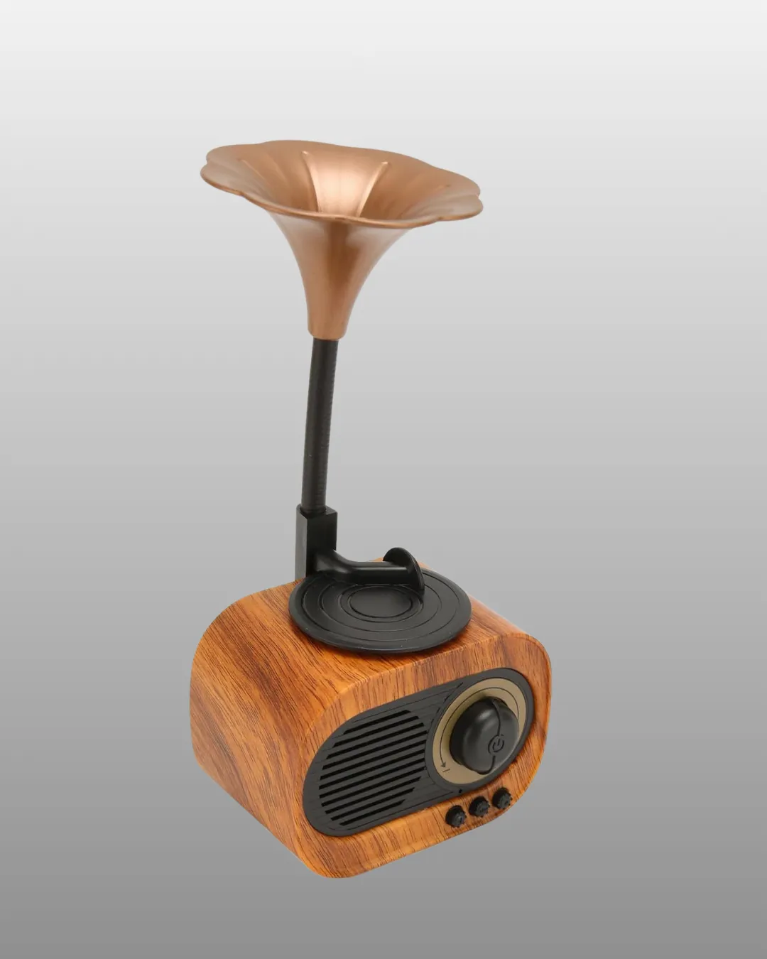 Kablosuz Retro Radyo Hoparlör 5W Güçlü Ses USB Hafıza Kart Destekli